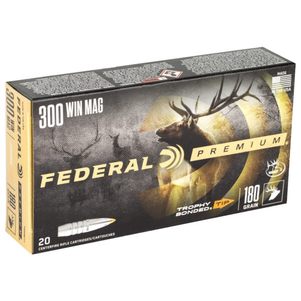 Alternative view of FED PRM 300WIN 180GR TRPHY TP 20/200