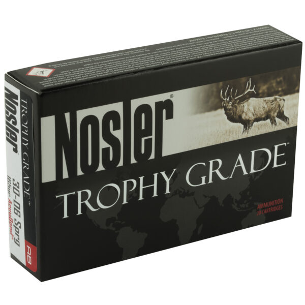 Alternative view of NOSLER 30-06 165GR AB 20/200