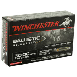 Alternative view of WIN BLSTC TIP 3006SP 150GR 20/200
