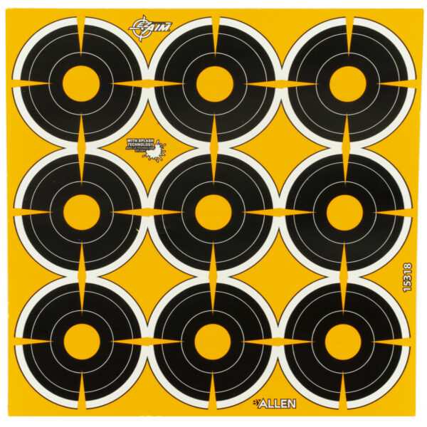 ALLEN EZ AIM 2 BULLSEYE 12 SHEETS