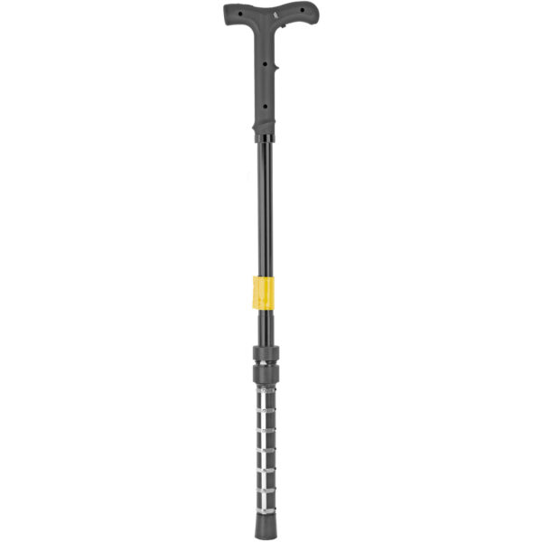 Alternative view of PS ZAP CANE 1 000 000 VOLTS W/CASE
