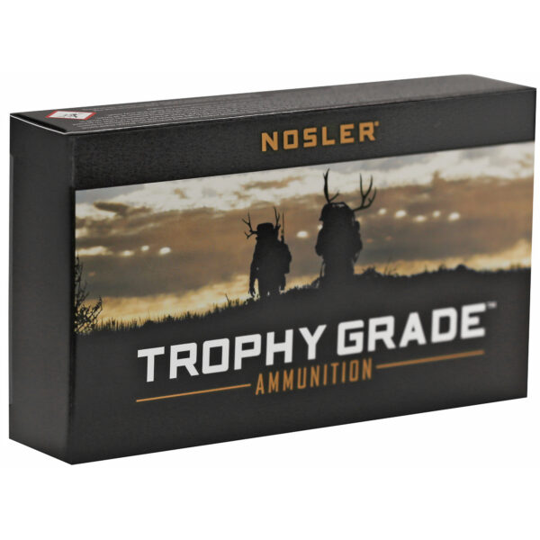 Alternative view of NOSLER TG 243WIN 100GR PT 20/200