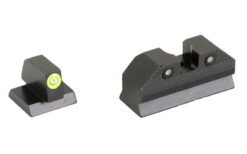 Alternative view of XS R3D 2.0 FOR DSRT EGL STD HGT GRN