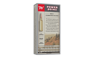 WIN SPRX PWR PNT 300WSM 180GR 20/200 - Image 2