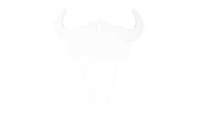 B/C AR500 3/8 SILHOUETTE SKULL WHT